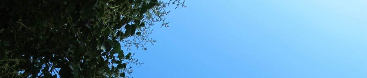 実は誰も教えない福岡不動産売却の裏事情